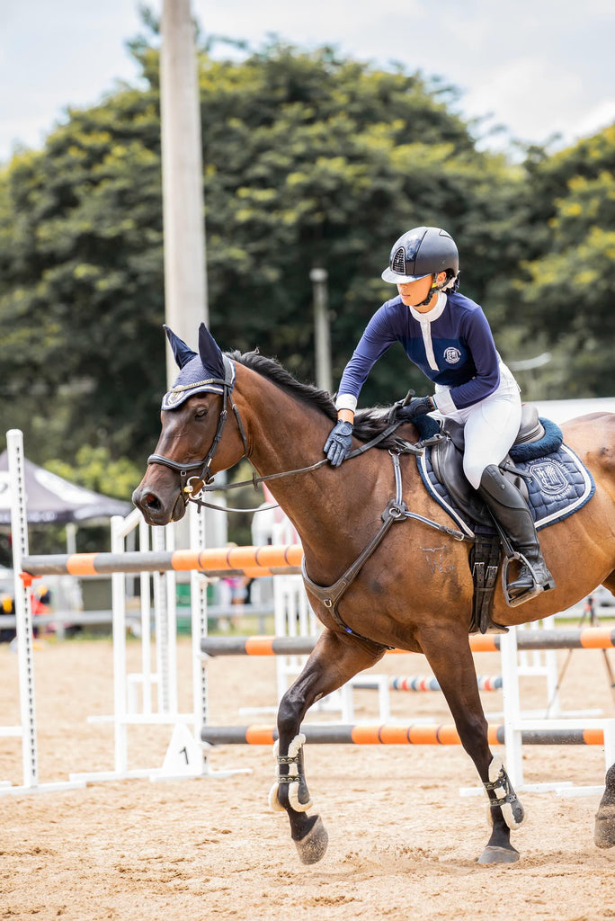 Image of horse and rider showjumping