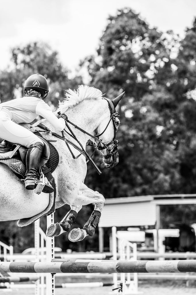 Black and white image of horse and rider showjumping