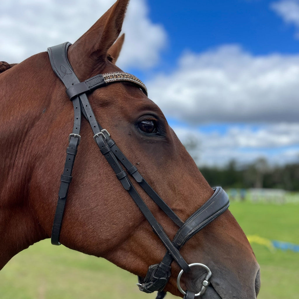 Horse wearing a bridle with a blurred background of green field and blue sky