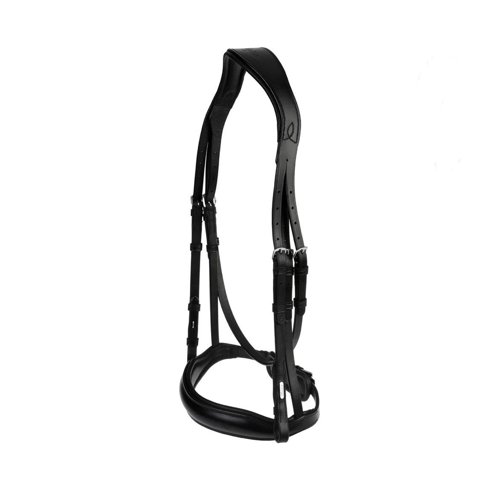 Black horse bridle on a white background