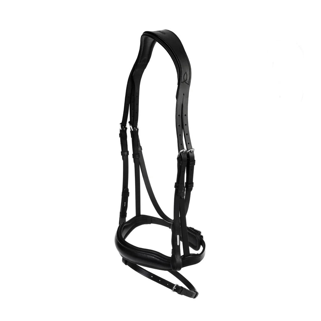 Black horse bridle on a white background
