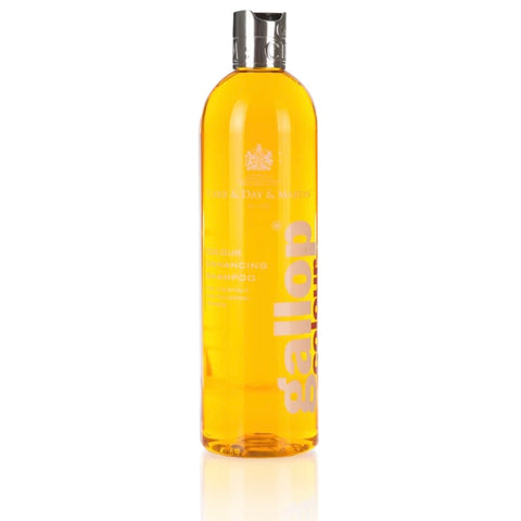 Carr & Day & Martin Gallop® Colour Shampoo Chestnut & Palomino