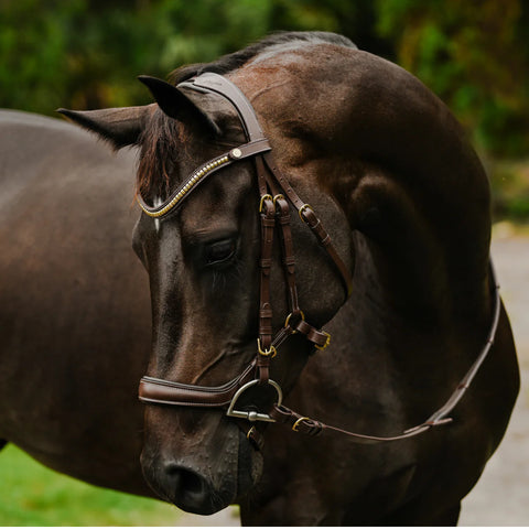 Lumiere Equestrian 'Dallas’, Brown Leather Bridle