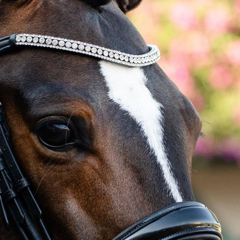 Lumiere Equestrian 'Amie' Black Leather Bridle (Cavesson)