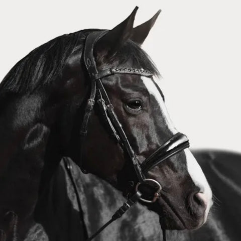 Lumiere Equestrian 'Audrey' Black Leather Bridle (Cavesson)