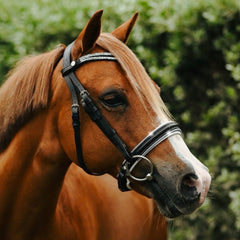Lumi-Pony 'Princess' Black Leather Bridle MINI PONY