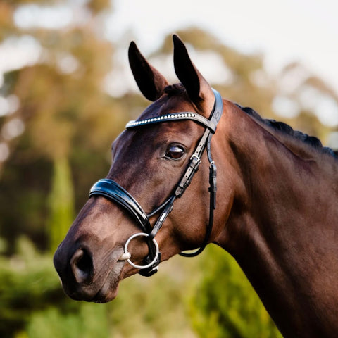 Lumiere Equestrian 'Mikayla' Black Leather Bridle (Convertible) WARMBLOOD