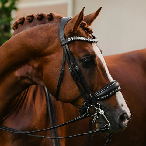 Lumiere Equestrian 'Diva' Double Black Leather Bridle