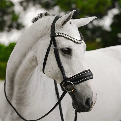 Lumiere Equestrian 'Diva' Black Leather Bridle