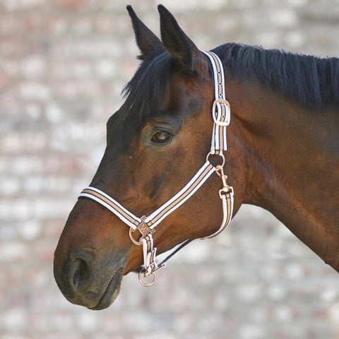 Waldhausen Halter Rose Shine