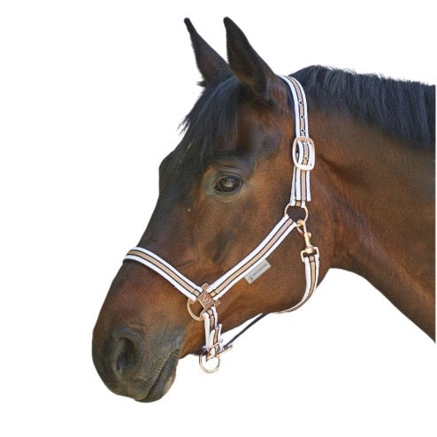 Waldhausen Halter Rose Shine - White