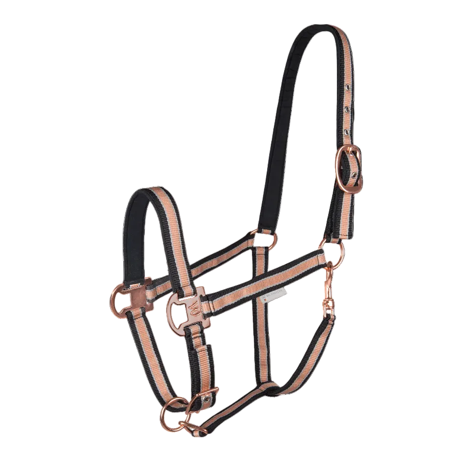 Waldhausen Halter Rose Shine - Black