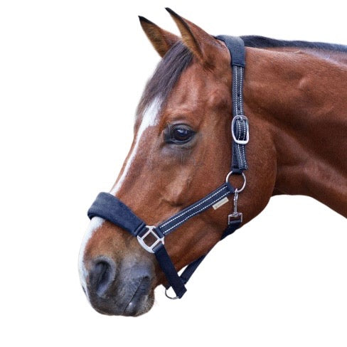 Waldhausen Halter Alcantara Navy