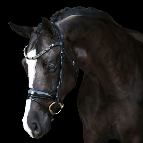 Lumiere Equestrian Audrey Hanoverian Black Leather Bridle