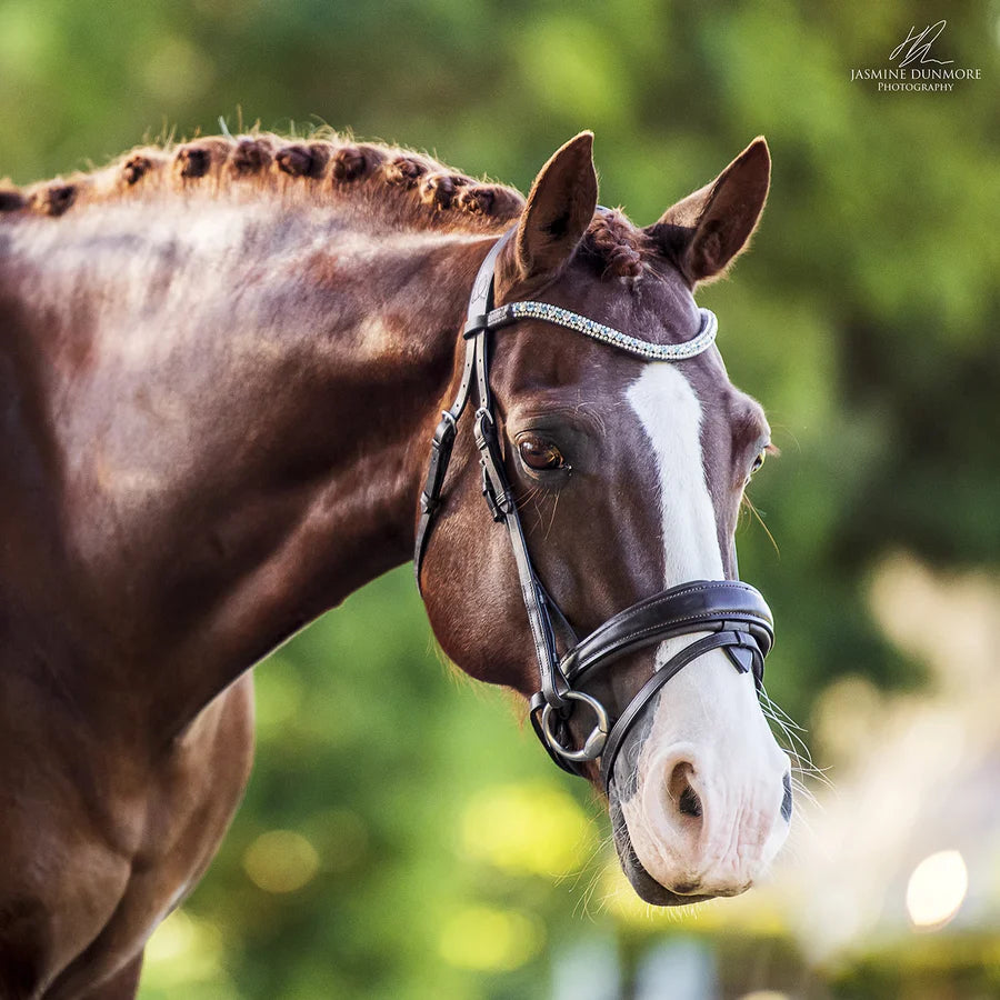 Lumiere Equestrian 'Anastasia' Brown Leather Bridle (Convertible)