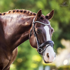 Lumiere Equestrian 'Anastasia' Brown Leather Bridle (Convertible)